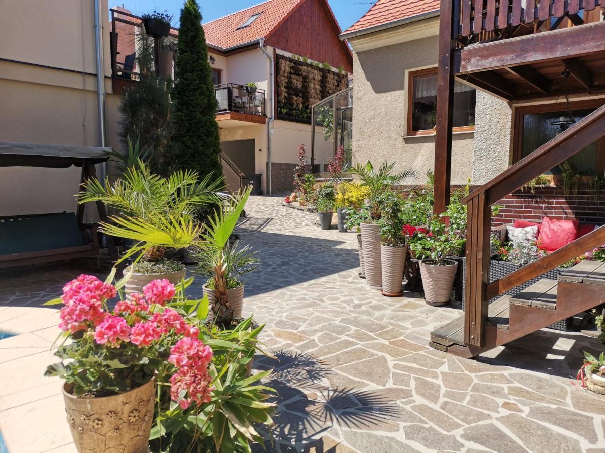 Apartmany Aranka Zatec  Exterior photo