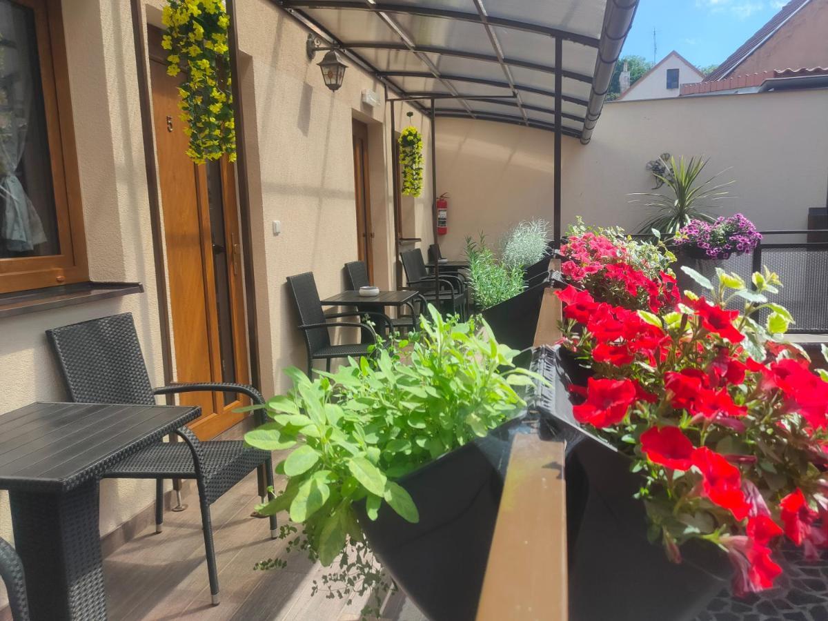 Apartmany Aranka Zatec  Exterior photo